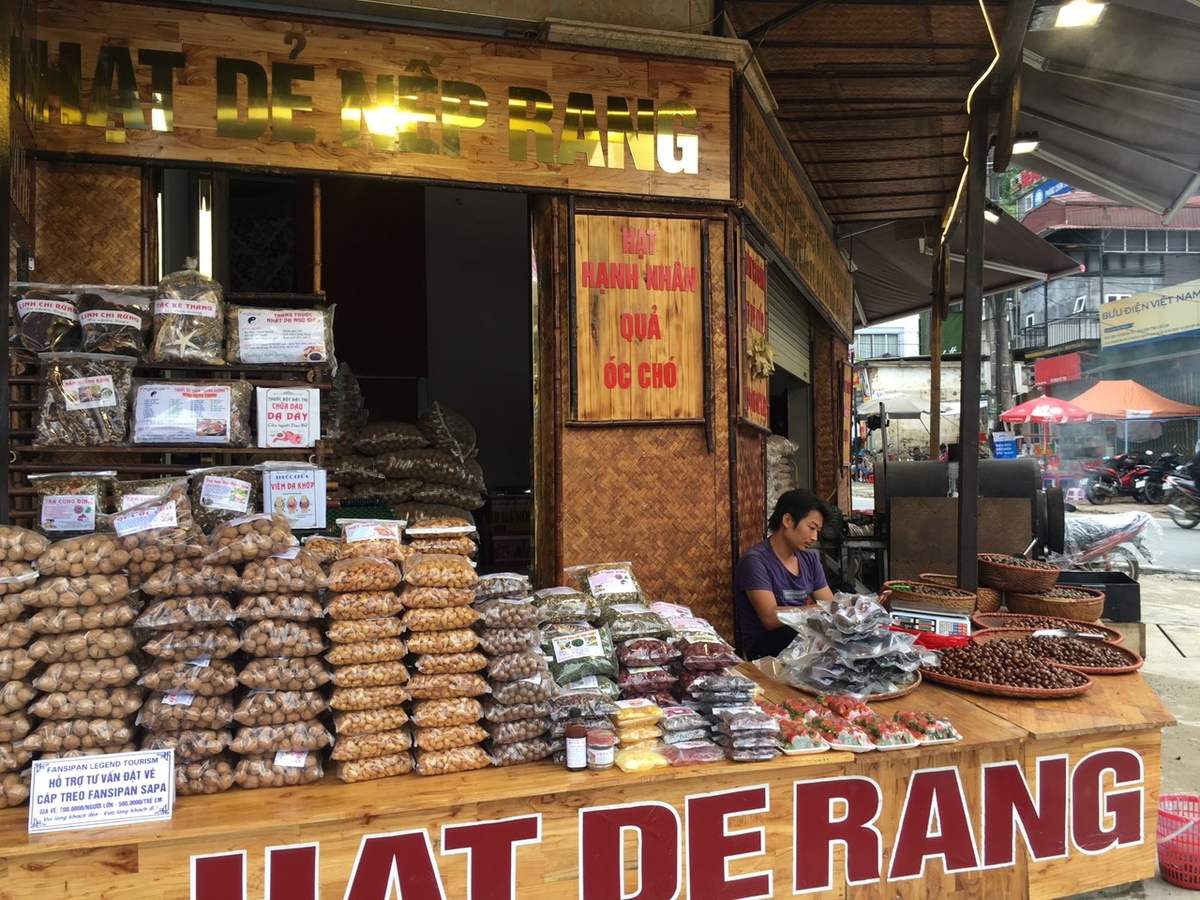 Wild chestnuts - A gift from nature to the land of Sapa 4