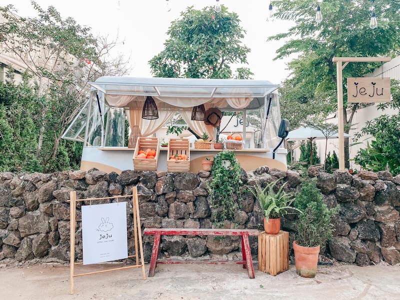 Jeju Coffee, the beautiful oasis behind door 13