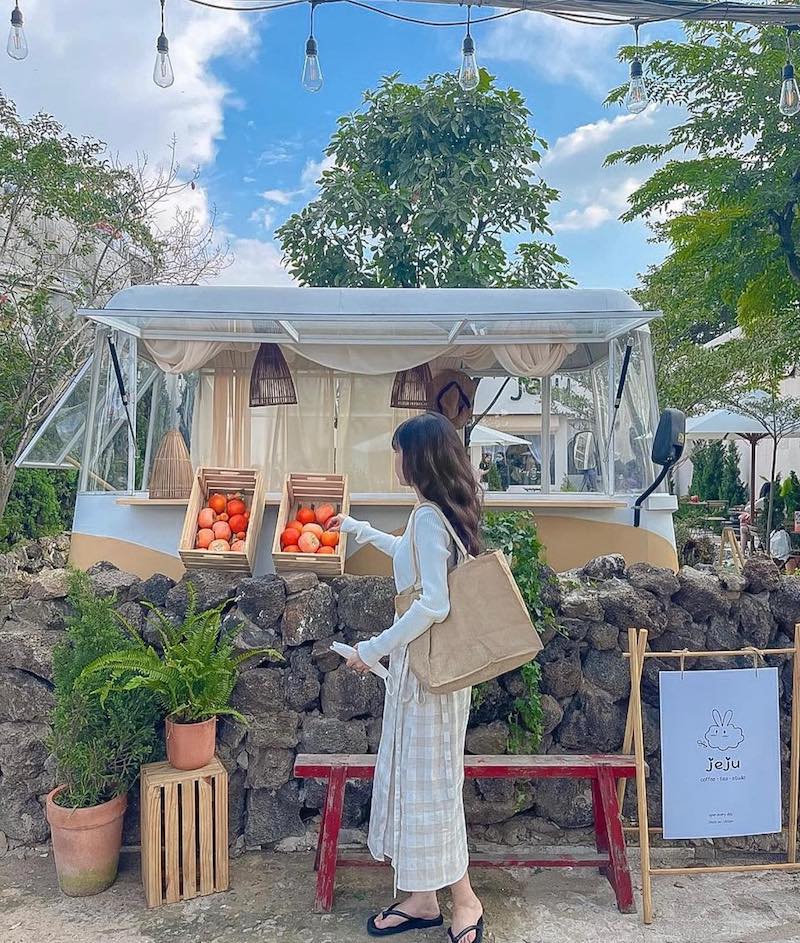 Jeju Coffee, the beautiful oasis behind door 15