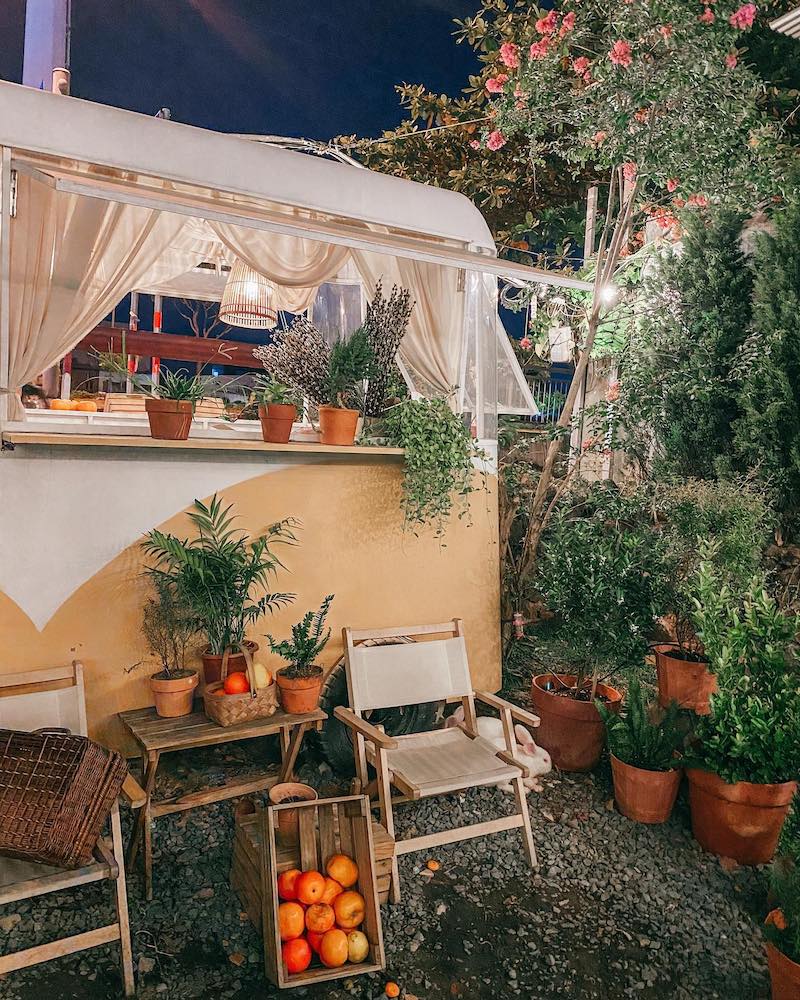 Jeju Coffee, a beautiful oasis behind the door 4