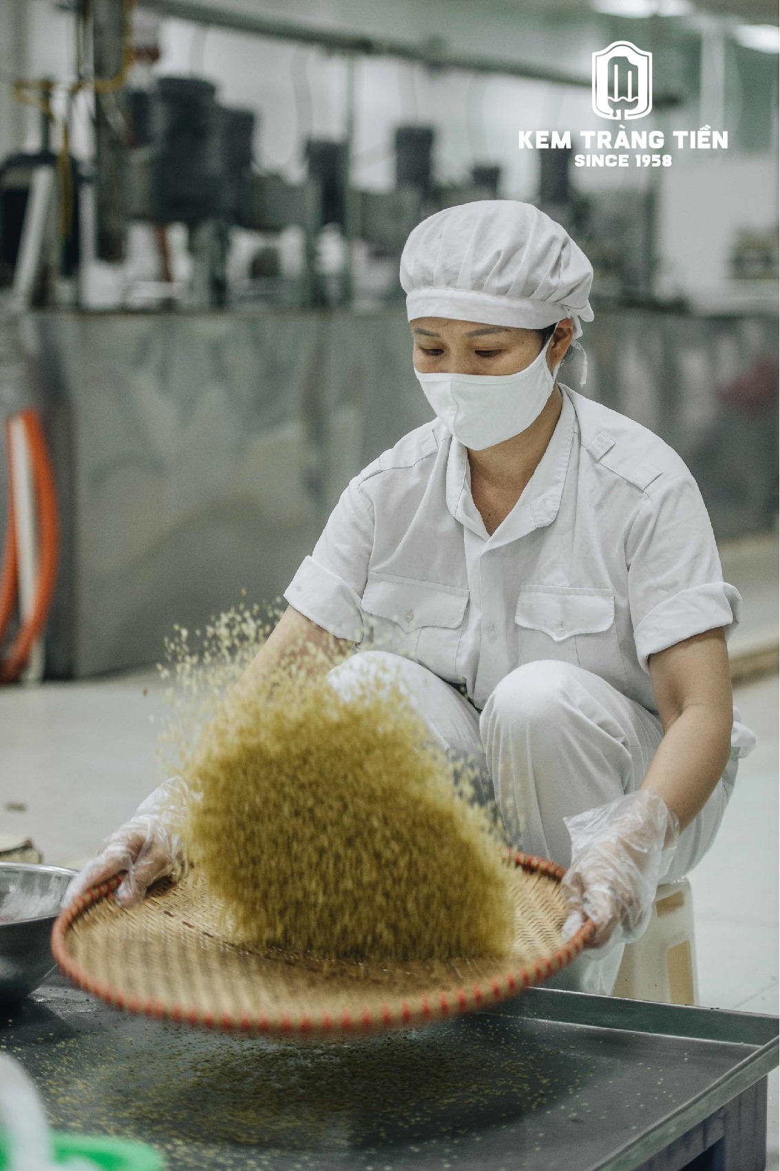 Trang Tien Ice Cream Hanoi - Specialty of the Capital City 5