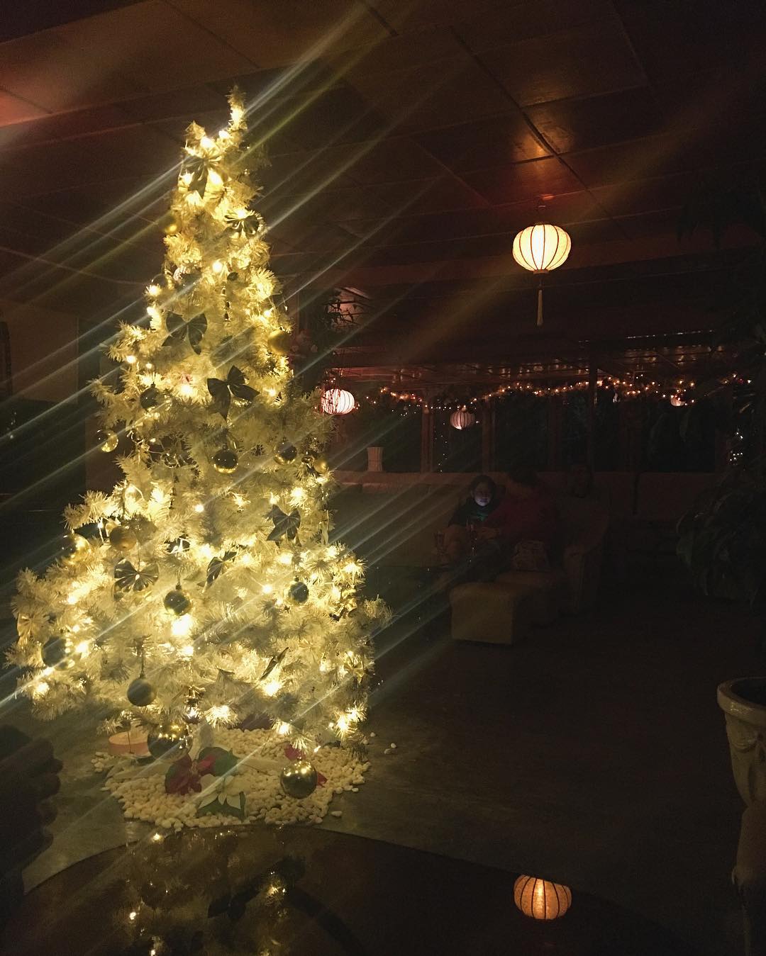 Discover the mysterious Palace of Afternoon Silk in the dreamy city of Da Lat 5