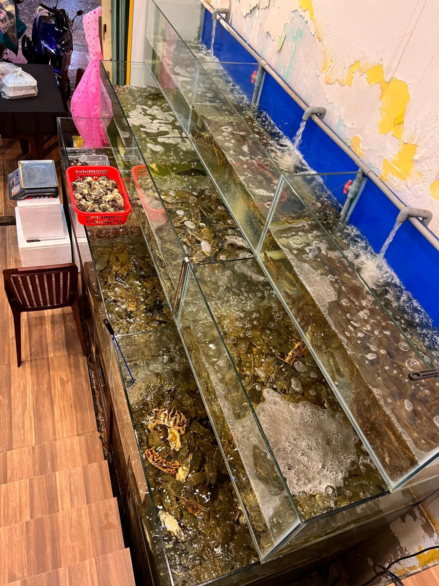 Discover the unique Kim Chi Crab Hotpot only available in the city of flowers 3