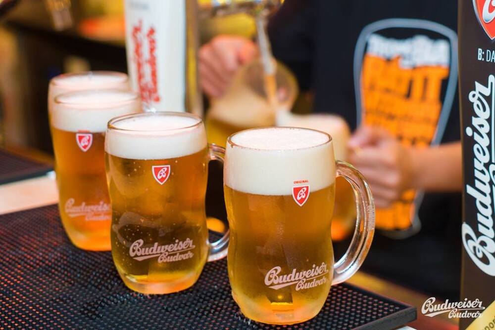 Discover the largest Catalan restaurant World Beer in Hanoi 4