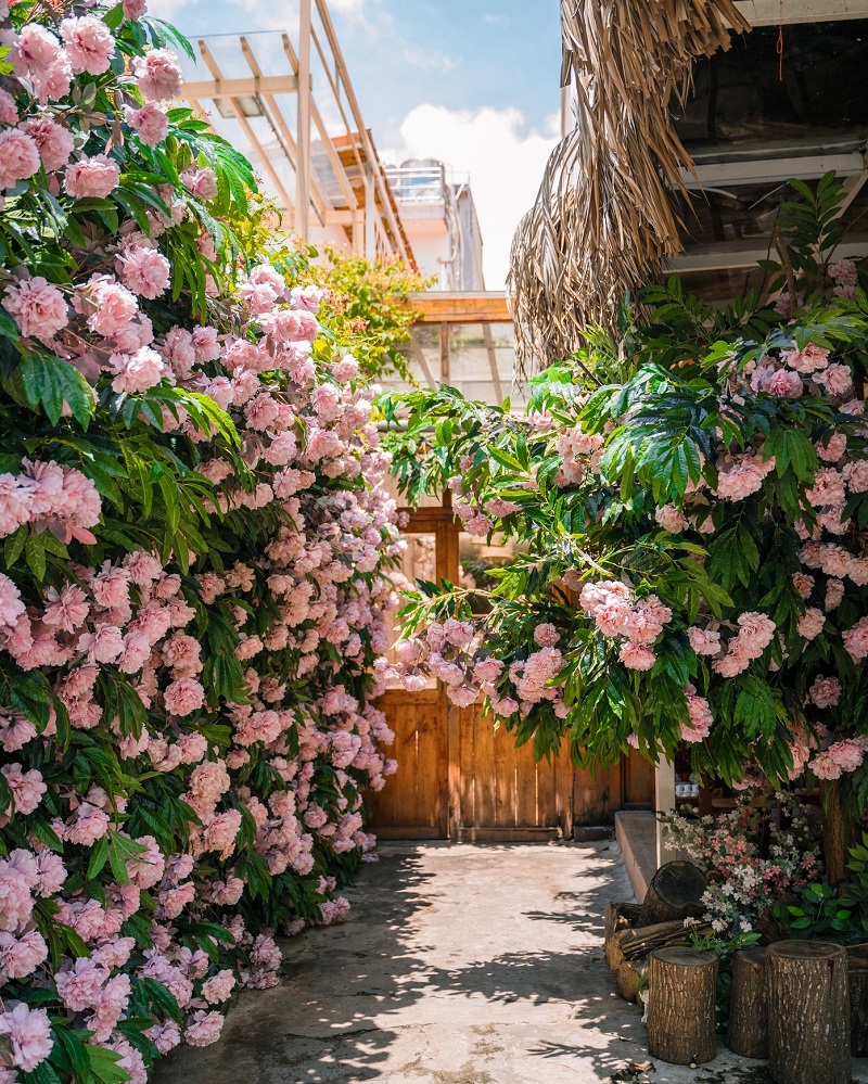 Khom Cafe, find a countryside space in the heart of District 1 2