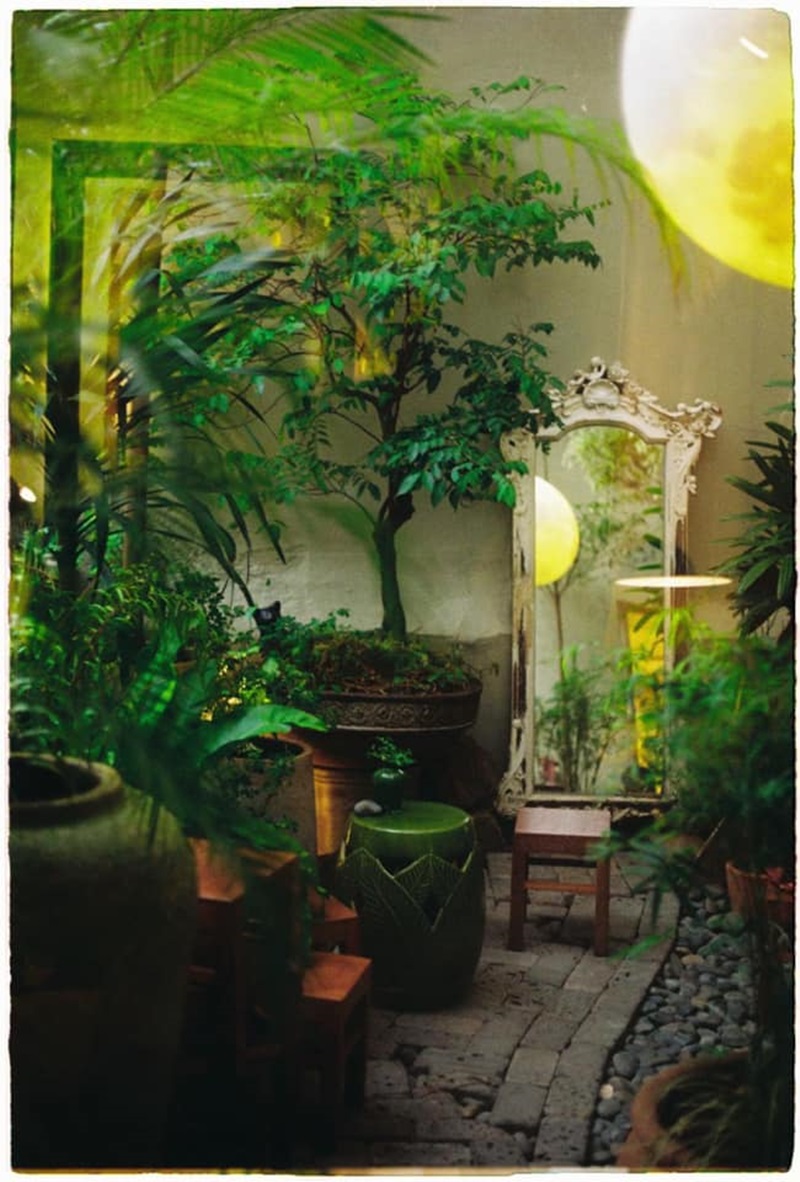 Len Keng water shop, with tea, flowers, and peace 4