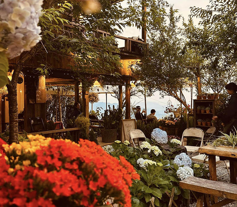 Sunset Coffee Shop, Da Lat's top cloud hunting coordinates 4