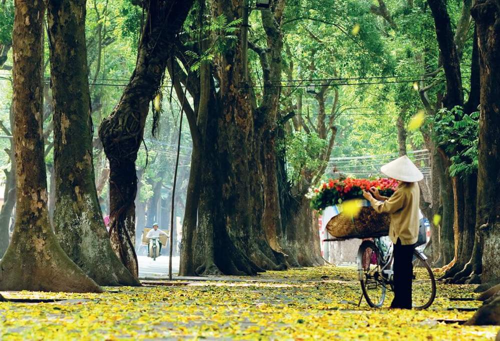Experience of traveling to Hanoi in the breathtakingly beautiful autumn 5