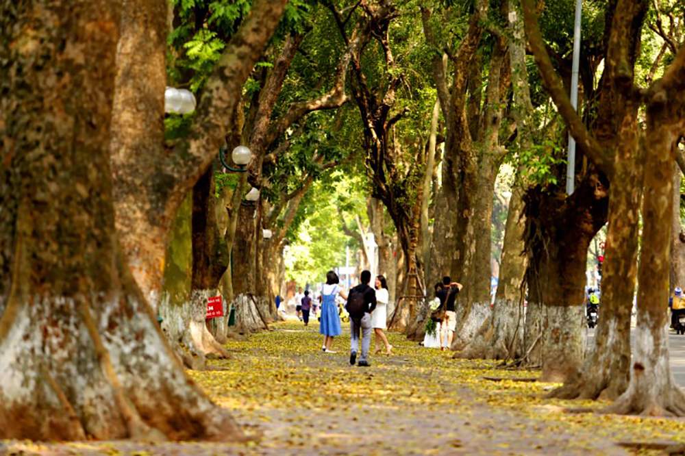 Experience of traveling to Hanoi in the breathtakingly beautiful autumn 3