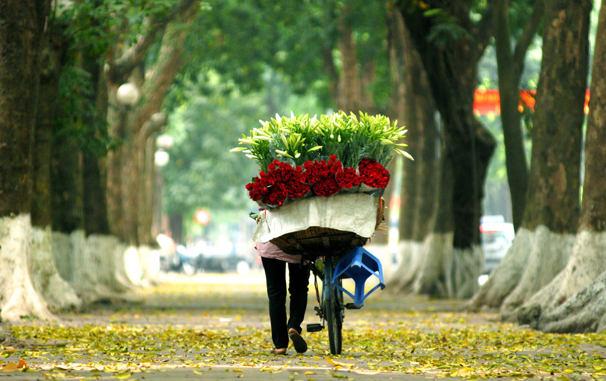 Experience traveling to Hanoi in breathtakingly beautiful autumn 12