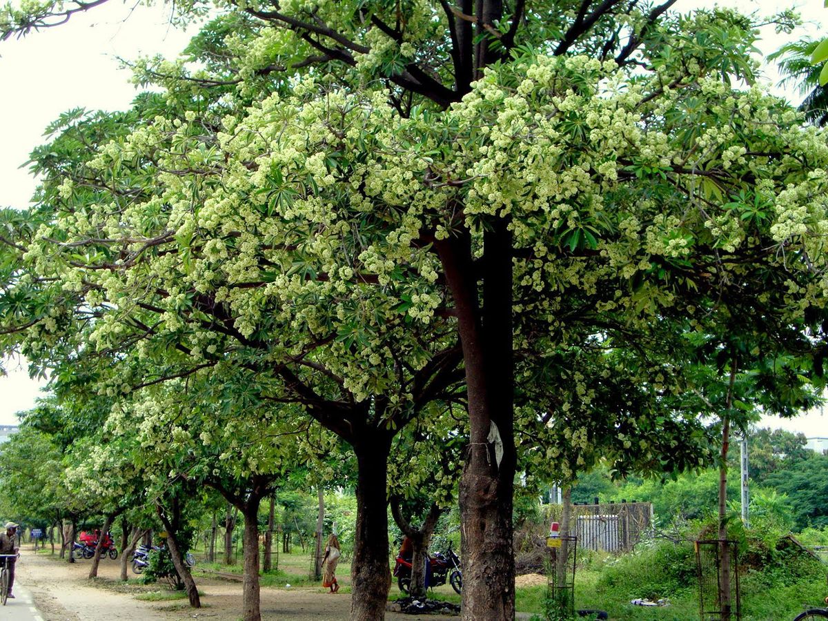 Experience of traveling to Hanoi in the breathtakingly beautiful autumn 8