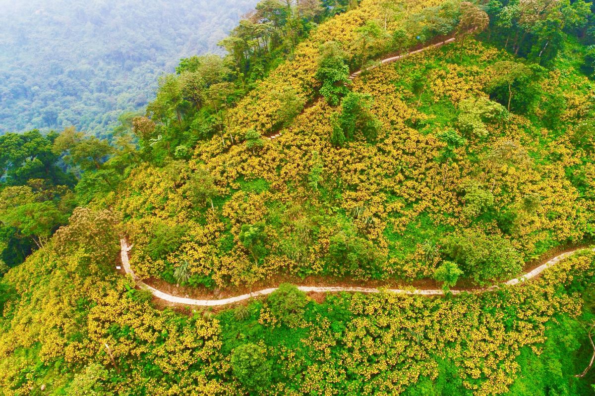 Experience traveling to Hanoi during Tet, forgetting the way home 7