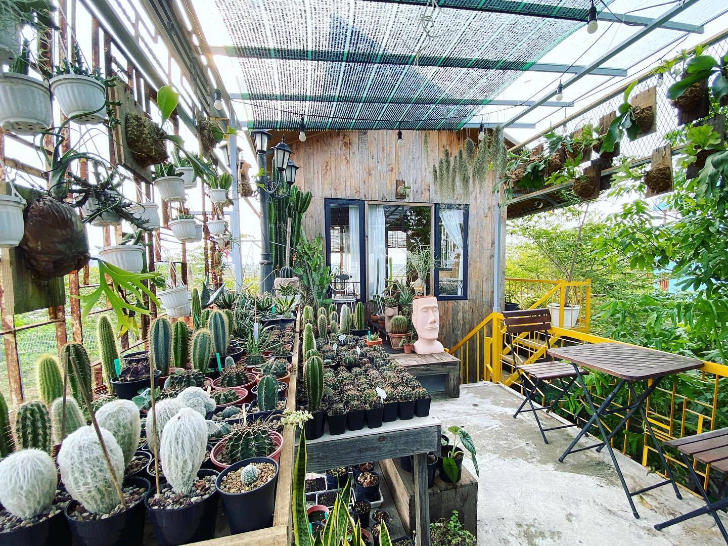 La's Cafe Da Nang - Lost in the beautiful green garden right on the outskirts of city 10