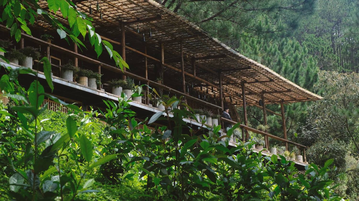 Lavenderdalat Coffee House - Coffee shop with a charming view of Tuyen Lam Lake that makes everyone fall in love in Da Lat 2