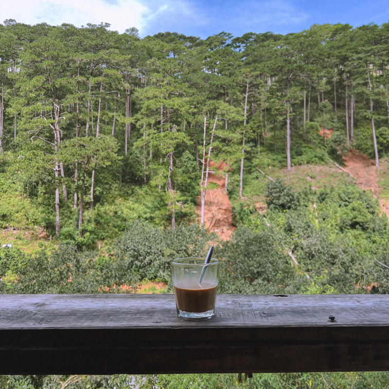 Halfway up the cafe, a small peaceful corner in the middle of romantic mountains and forests 4