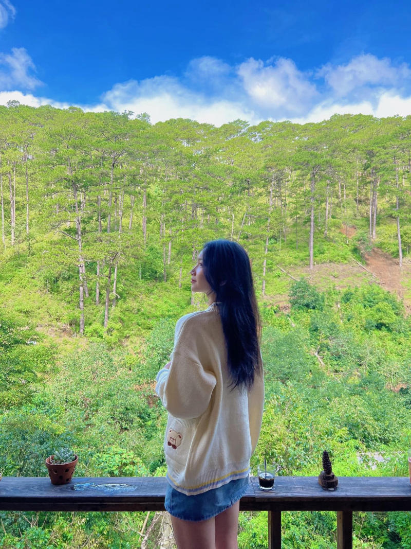 Halfway up the cafe, a small peaceful corner in the middle of romantic mountains and forests 6