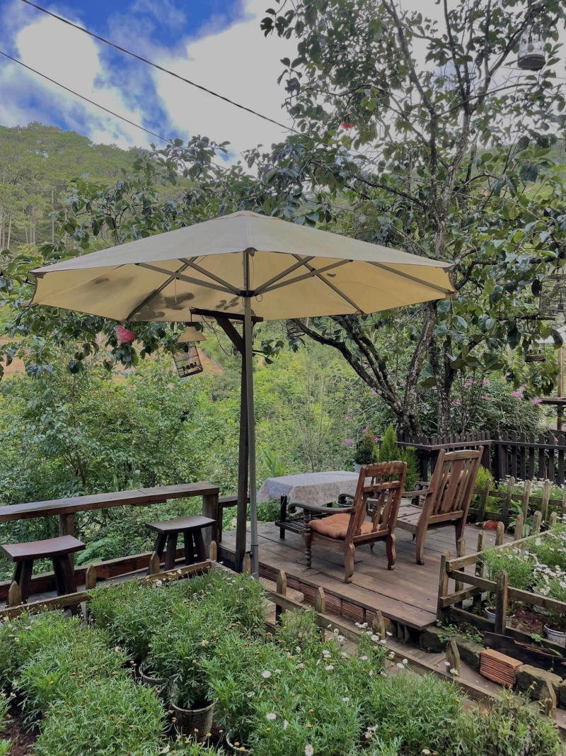 Halfway up the cafe, a small peaceful corner in the middle of romantic mountains and forests 8