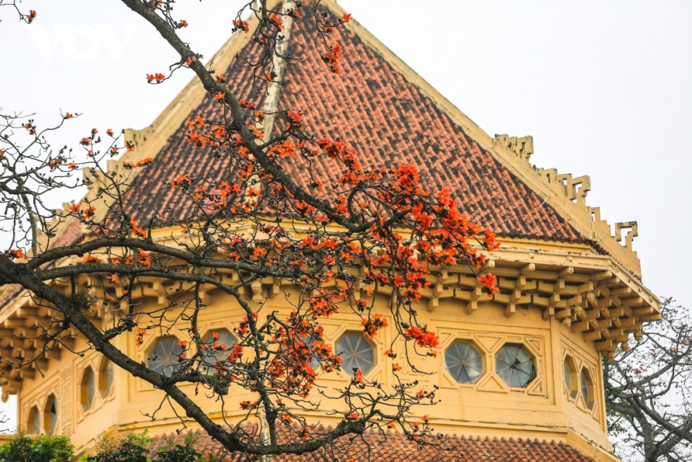 Tips for traveling to Hanoi during the beautiful rice flower season 4