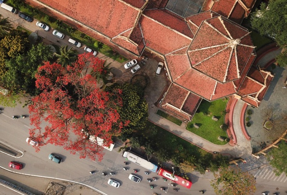 Tips for your travel experience in Hanoi during the beautiful rice flower season 5
