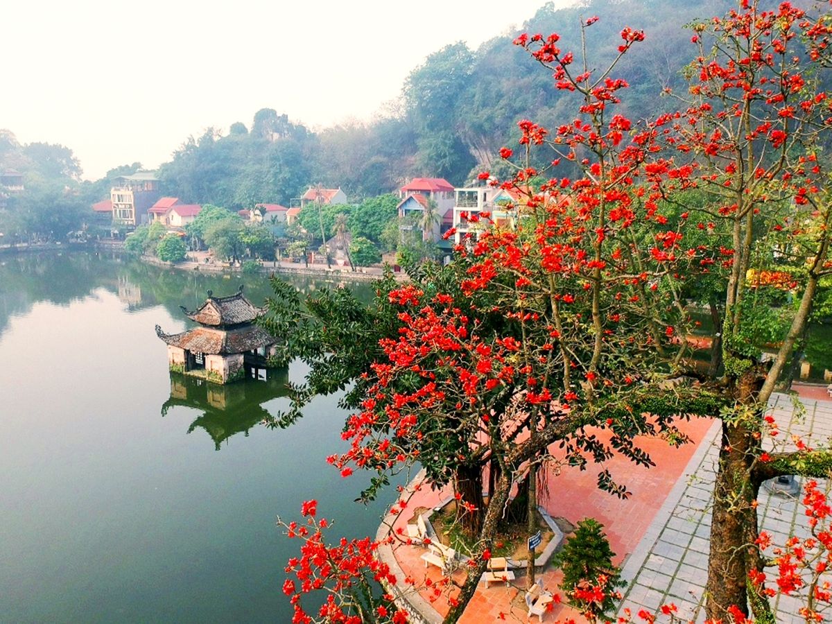 Tips for your travel experience in Hanoi during the beautiful rice flower season 9