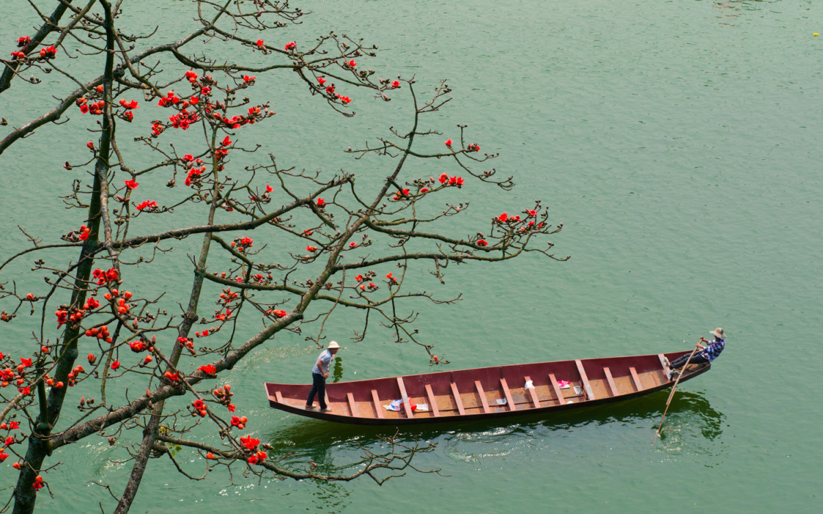 Tips for your travel experience in Hanoi during the beautiful rice flower season 12