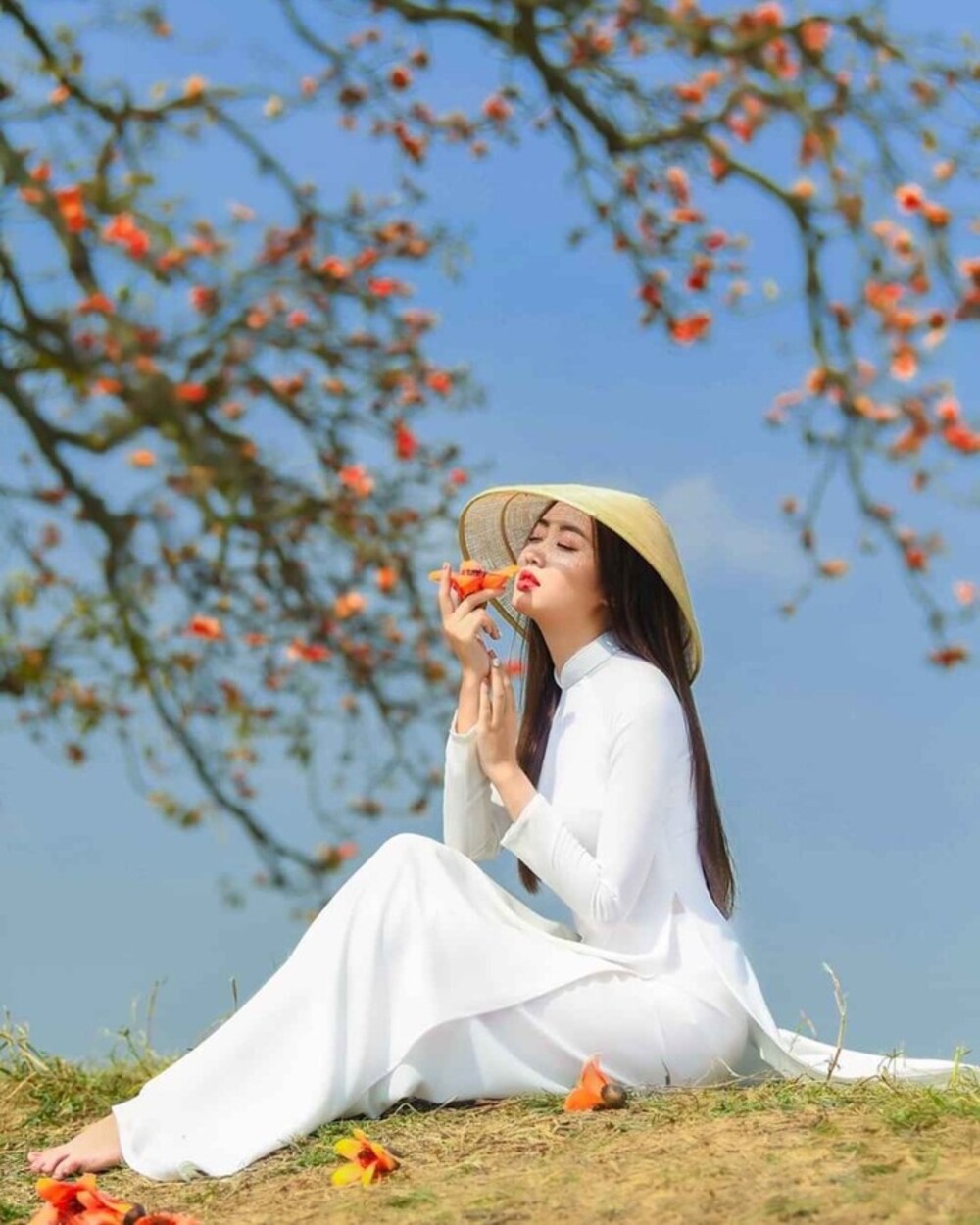 Tips for traveling to Hanoi during the beautiful rice flower season 13