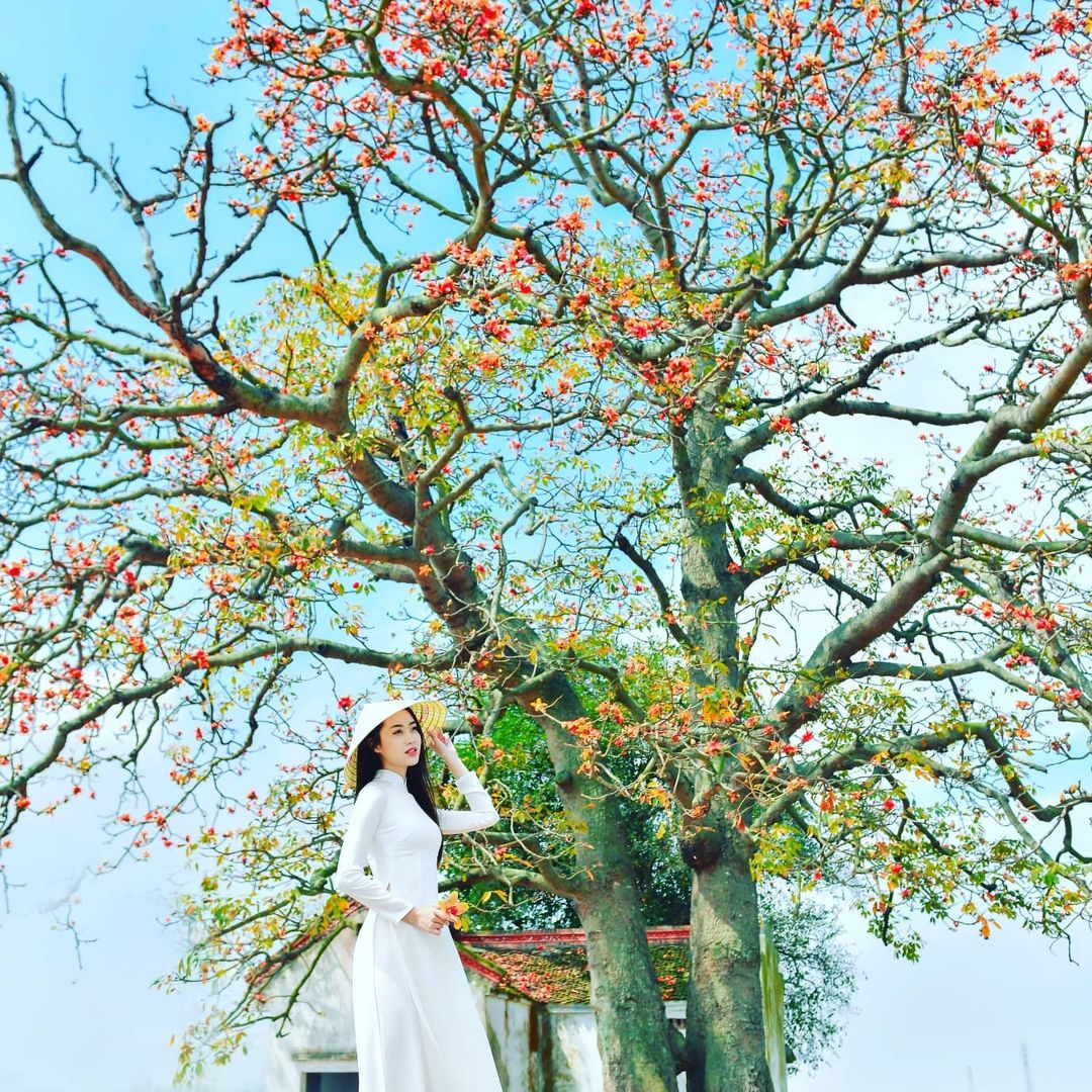 Tips for your travel experience in Hanoi during the beautiful rice flower season 14