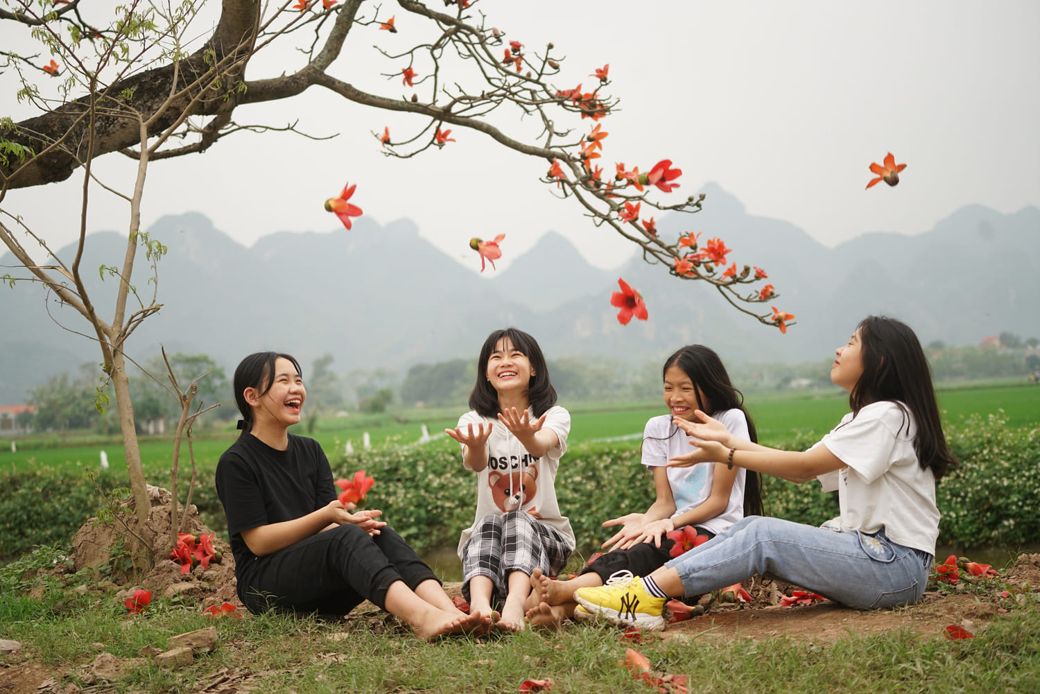 Tips for traveling to Hanoi during the beautiful rice flower season 15
