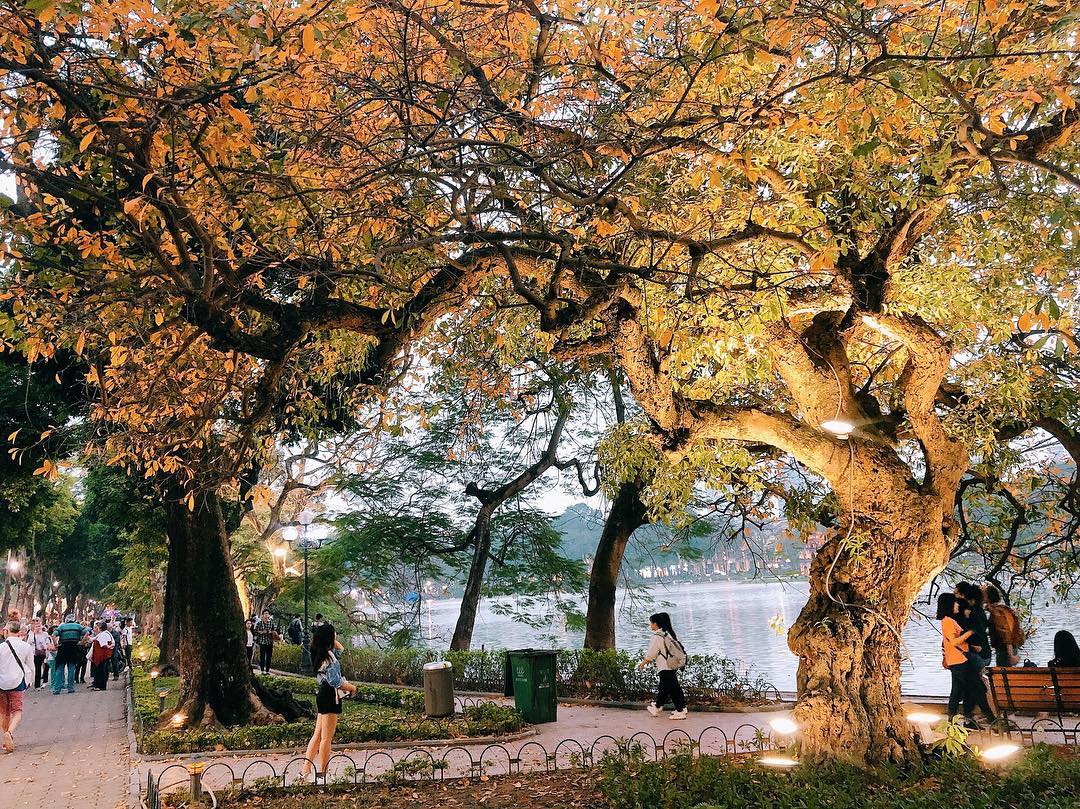 Tell you the most complete 1-day Hanoi autumn itinerary 3