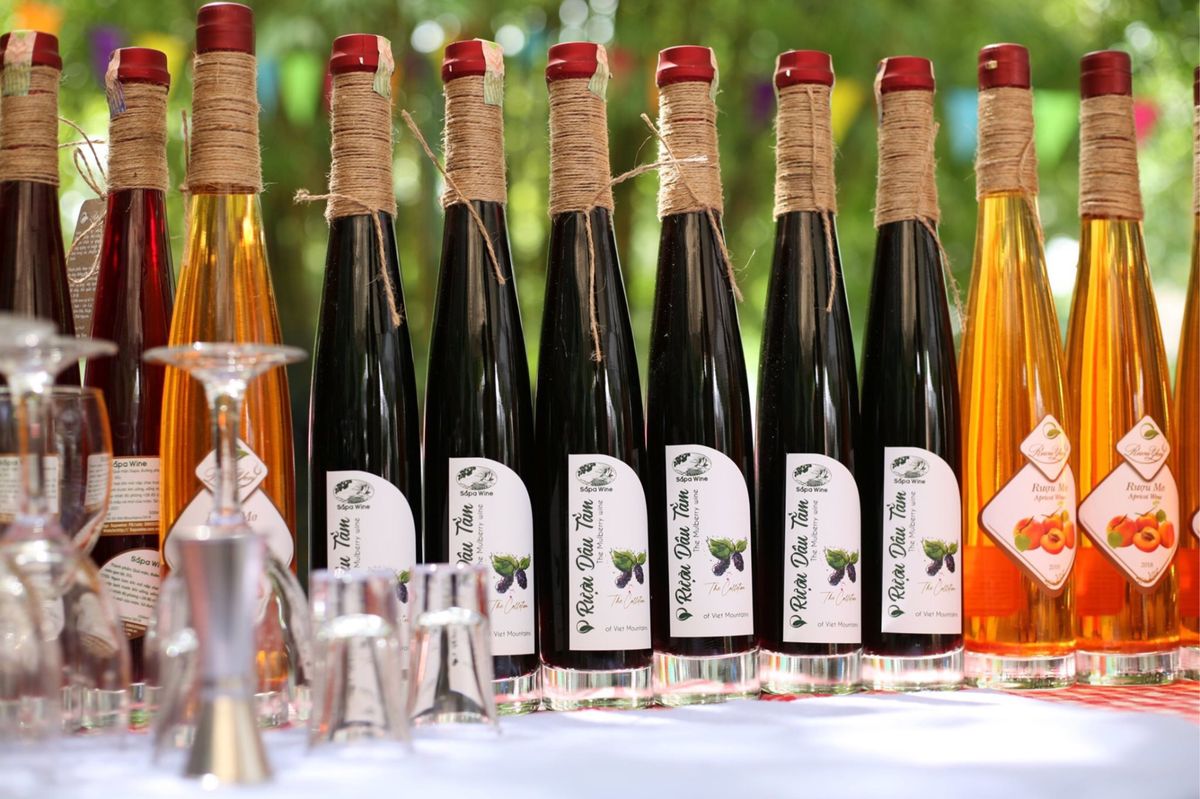 Sapa plums, peaches - Delicious fruits of the Northwest mountains and forests 11