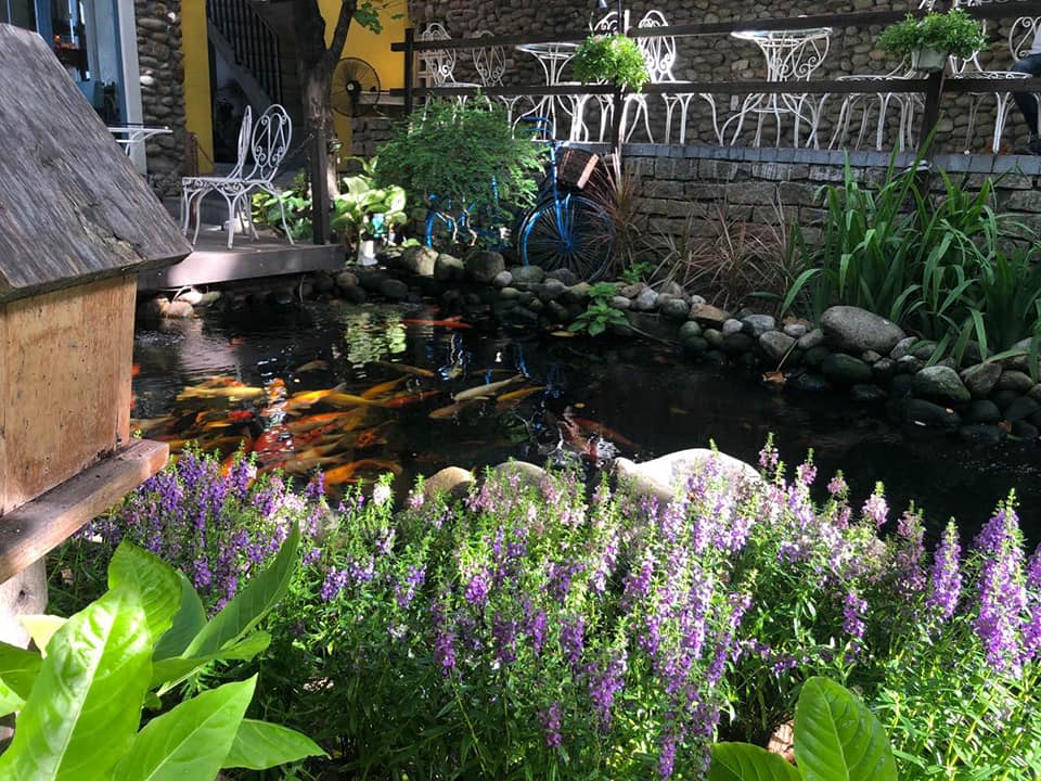 Moc Mien Garden Cafe - People are fascinated by this beautiful garden cafe in the heart of Da Nang 7