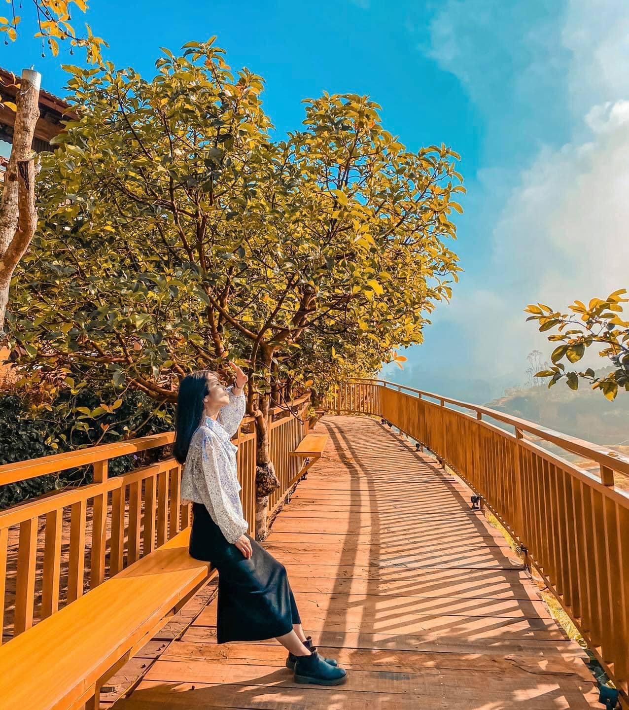 Moc Tra Farm - Coffee shop with a beautiful road like a Korean movie 13