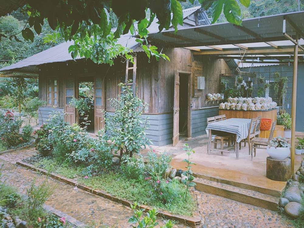 Moc Tra Farm - Coffee shop with a beautiful road like a Korean movie 3