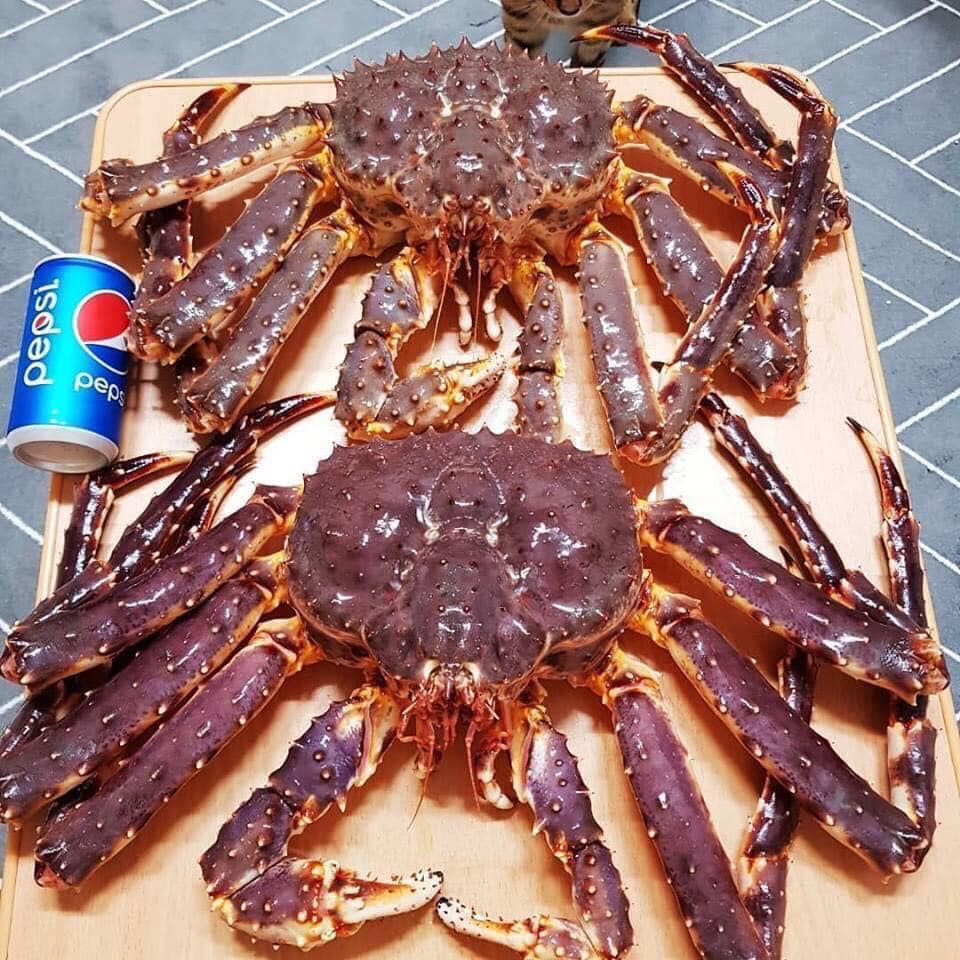 If you want to eat delicious king crab, come to Queen's Crab Hue Restaurant! 6