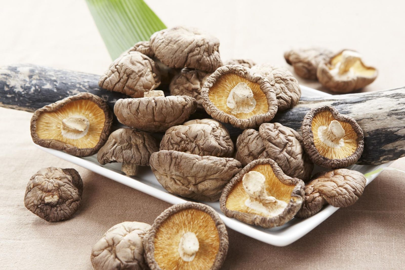 Sapa forest shiitake mushrooms - Simple, rustic flavor like the people of the Northwest highlands 2
