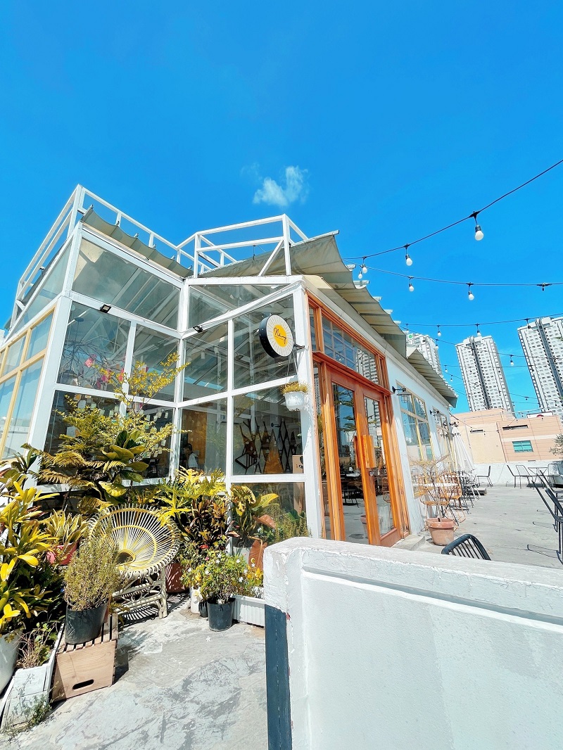 Sunny Rooftop Coffee, a place to watch the sunset and listen to soft acoustic music 7