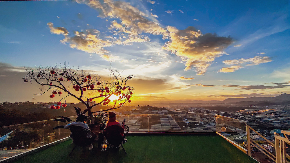 Watch the romantic yellow lantern flowers bloom at Da Lat Valley of Lamps Coffee 9