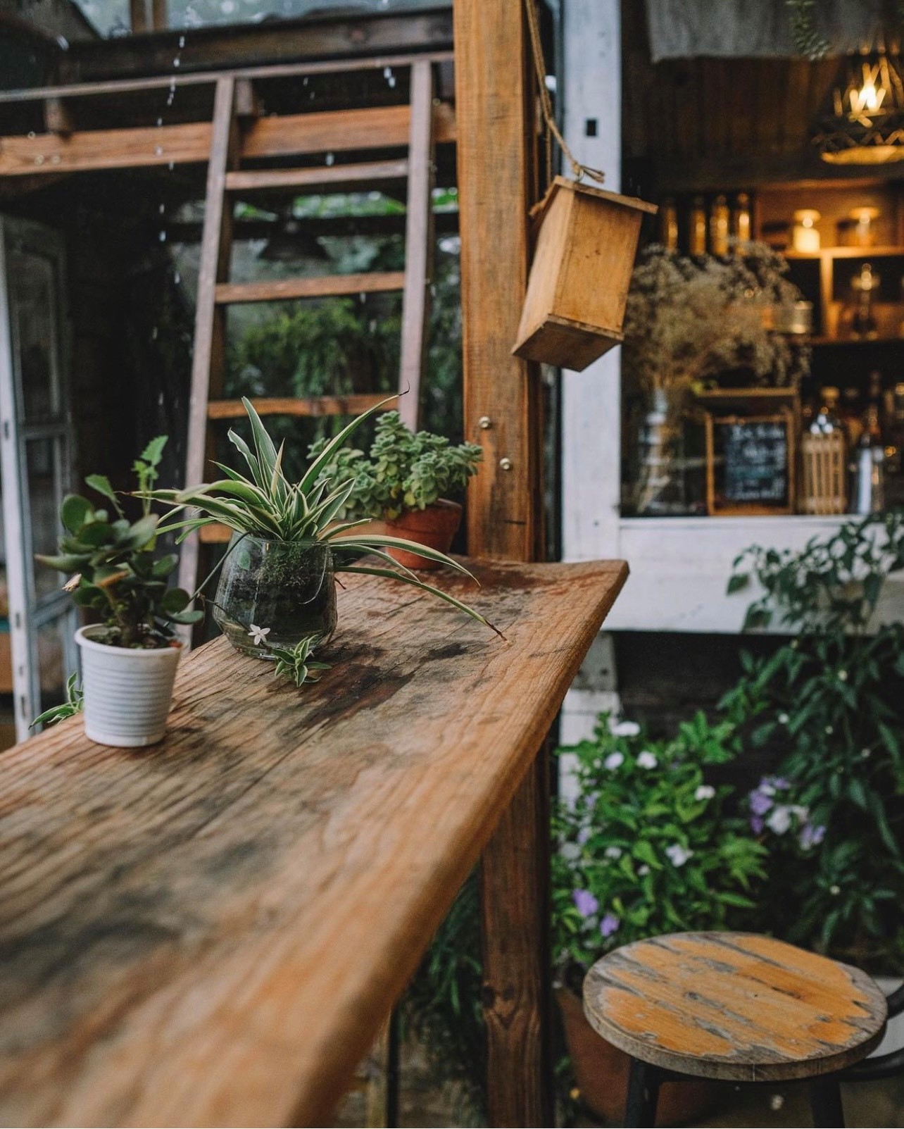 Him Cafe - Be amazed by a peaceful little corner in dreamy Da Lat 4
