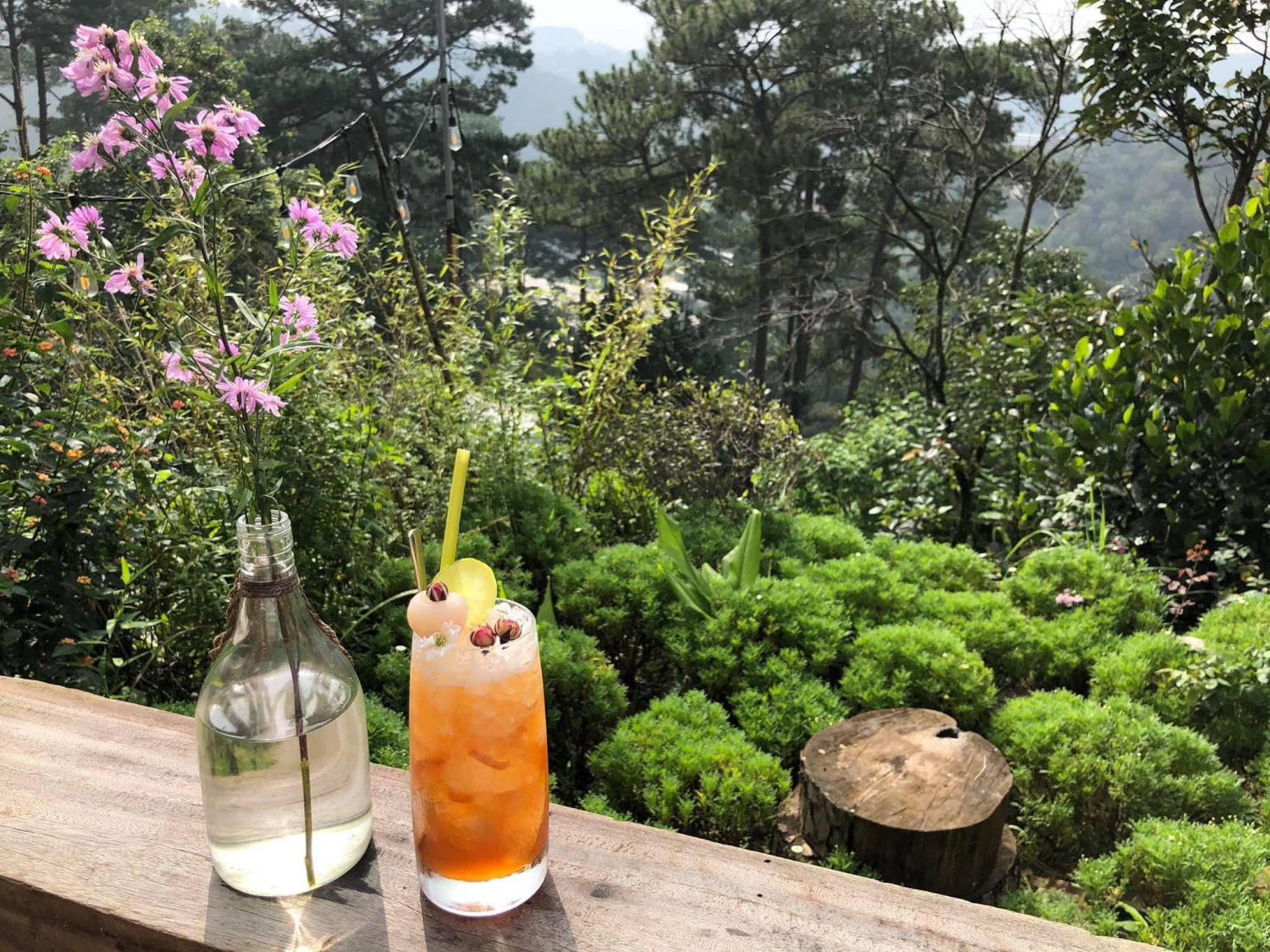 Him Cafe - Be amazed by a peaceful little corner in dreamy Da Lat 6