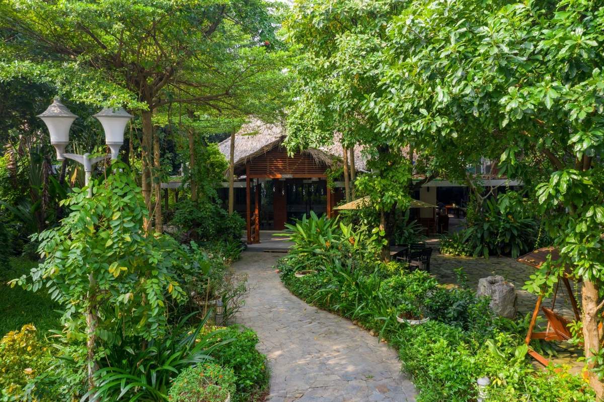 Small Park Restaurant - Small forest in the heart of the Capital 10
