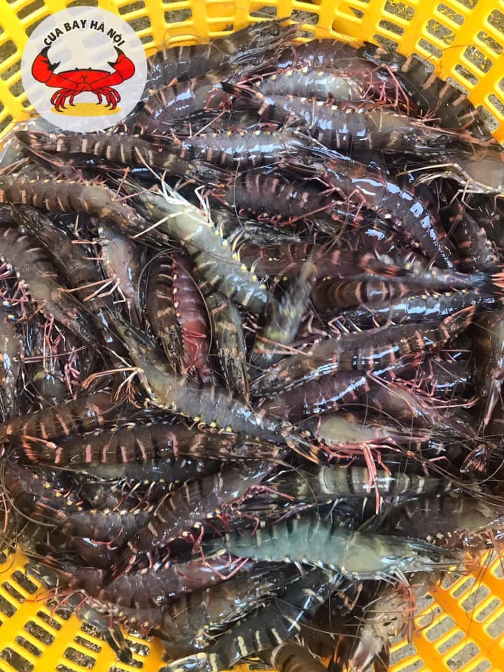 Cua Bay Seafood Restaurant – Quality menu with seafood 5