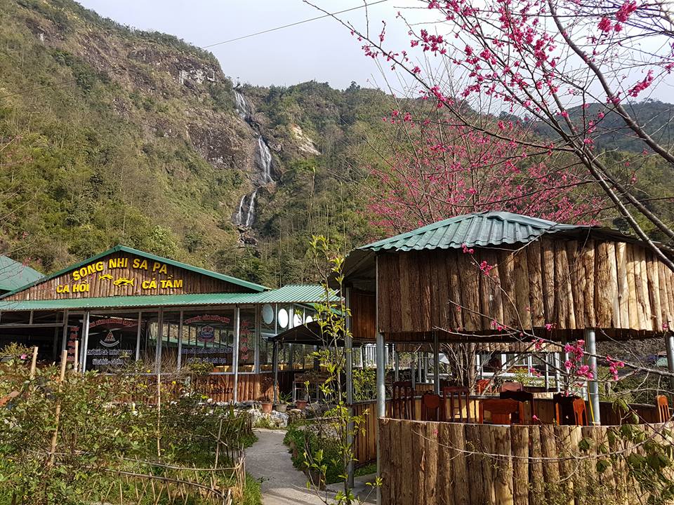 Song Nhi Sapa Restaurant - Be ecstatic with extremely fresh and delicious salmon dishes in the Northwest 17 region