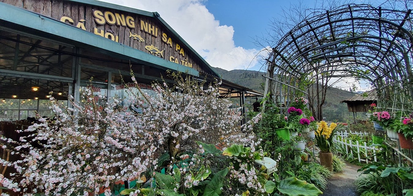 Song Nhi Sapa Restaurant - Be ecstatic with extremely fresh and delicious salmon dishes in the Northwest region 2