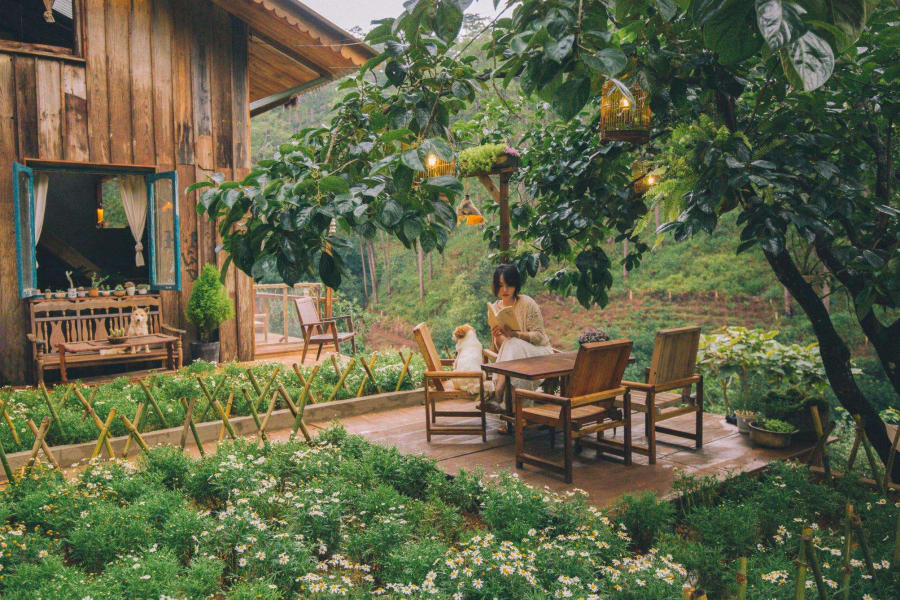 The coffee shops in Da Lat are so beautiful that many people hope to come back soon 2
