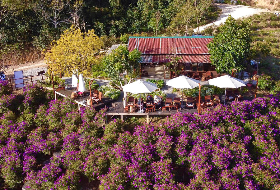 The coffee shops in Da Lat are so beautiful that many people hope to return soon 6