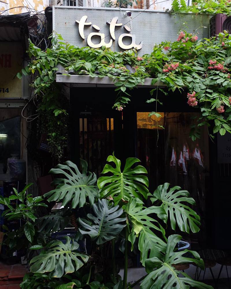 Coffee shops in Hanoi with peaceful beauty in the heart of the capital 2