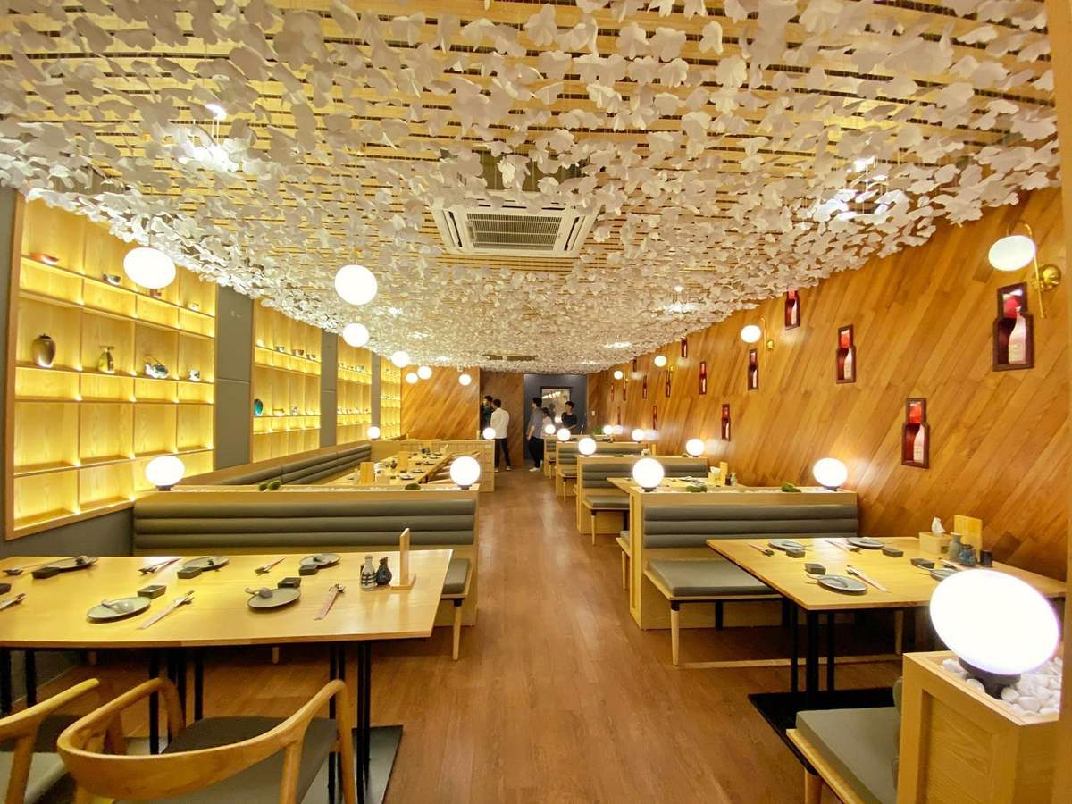 Get full immediately with the menu of +200 delicious and delicious dishes at Hadu Sushi 13