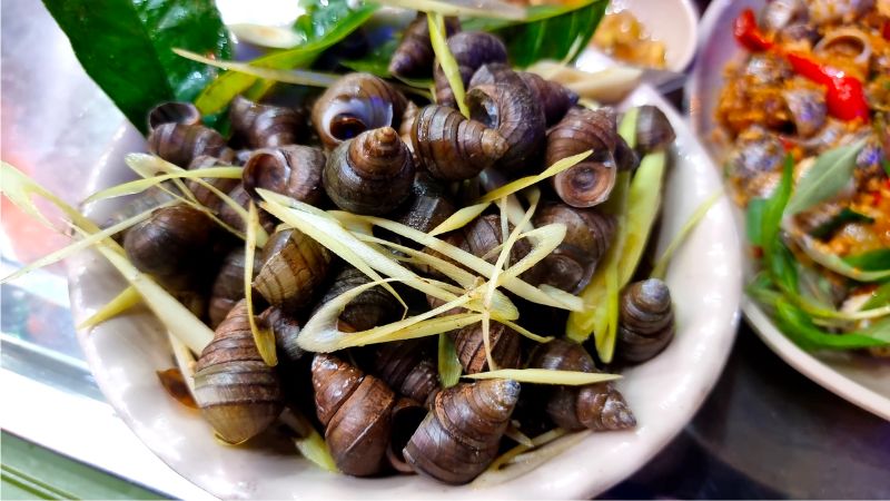 Enjoy boiled snails in Hanoi with top 15 famous delicious restaurants 9