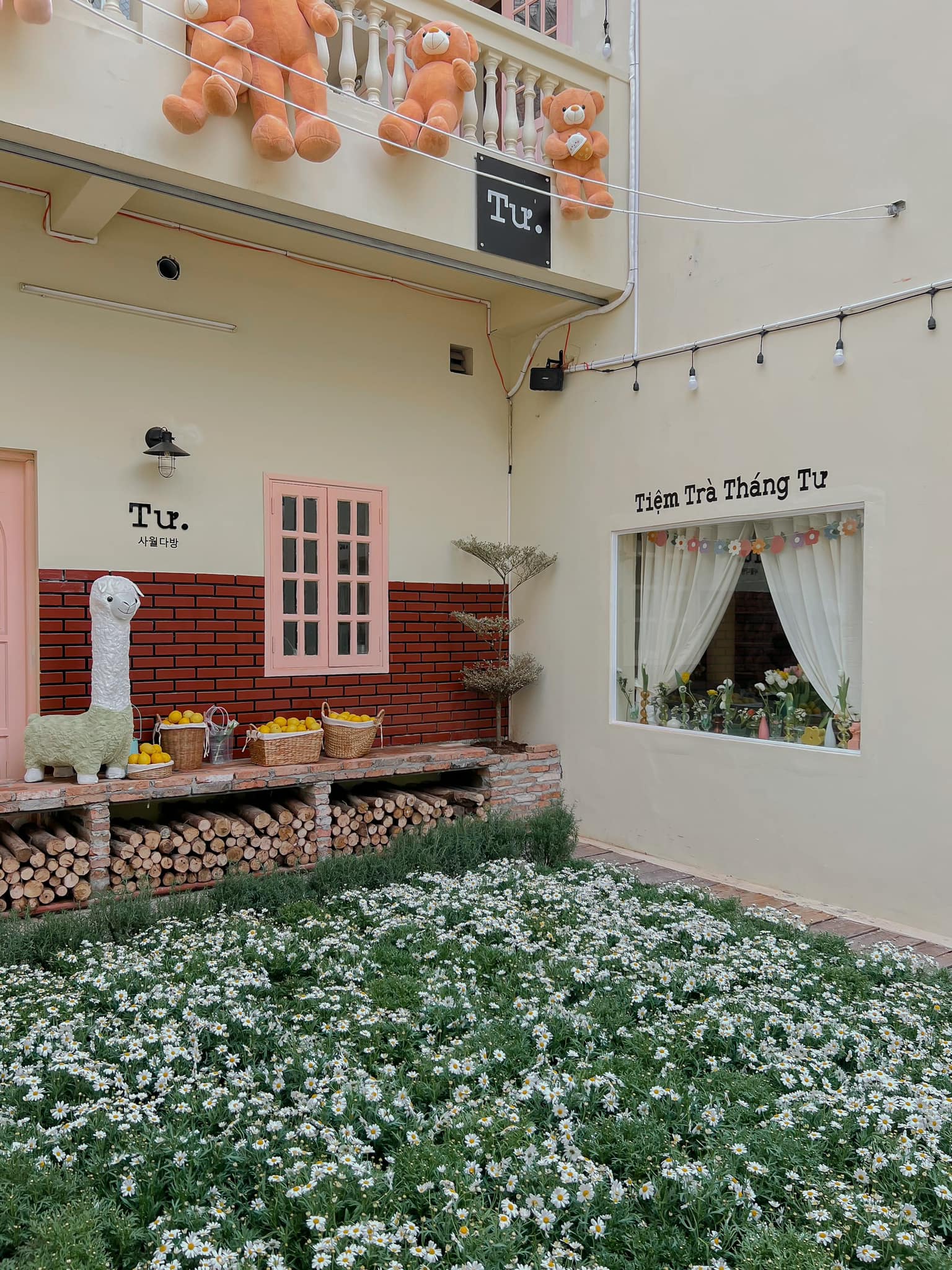 Save now the top 10 extremely beautiful cafes in District 10 that make people fall in love 7