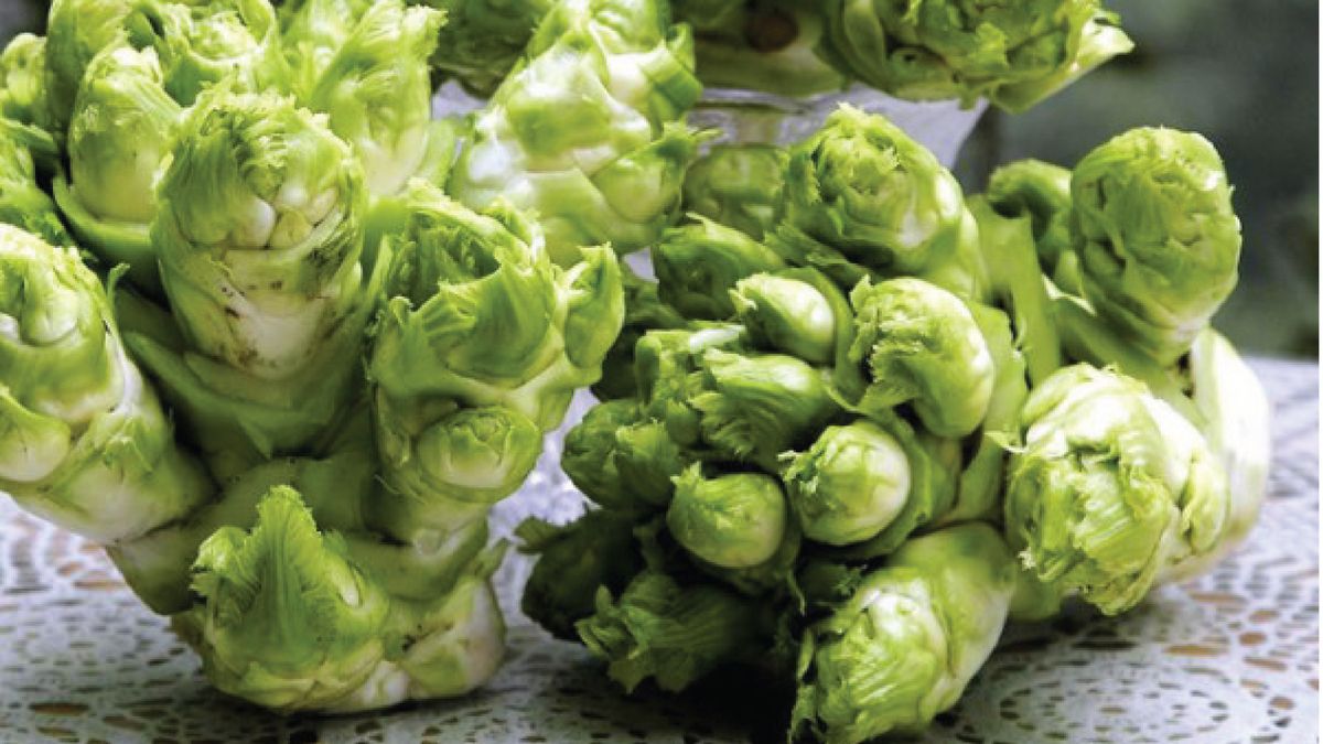 Sapa stone sprouts - Specialty coming out of Trang Quynh folk tale 2